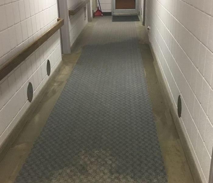 photo of commercial hallway carpet that experienced significant water damage
