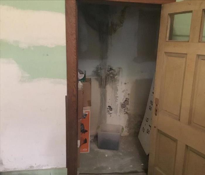 white closet with water and mold streaks down the walls 